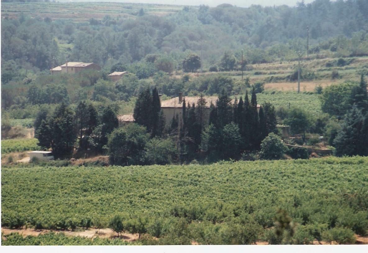 Domaine Chanoine Rambert Saint-Andre-d'Olerargues Exterior foto